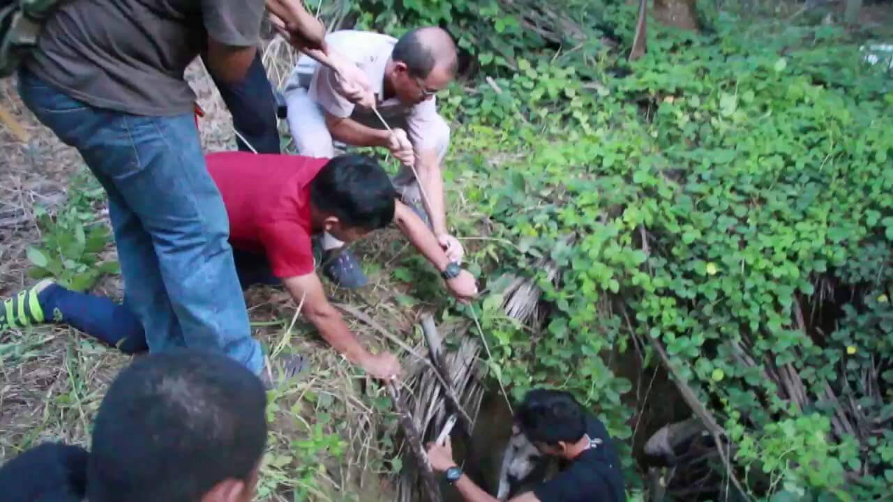ปราจีนบุรี-อาสาสมัครกู้ภัยช่วยสุนัขตกบ่อนานสองวัน